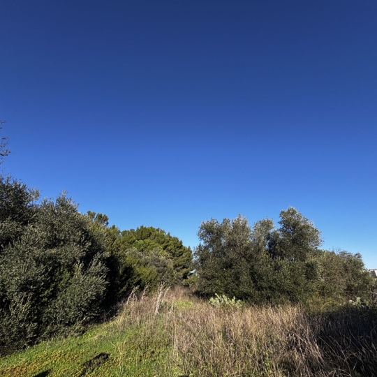 GL IMMOBILIER : Terrain | SAINT-GILLES (30800) | 746.00m2 | 25 000 € 