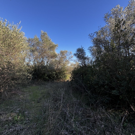  GL IMMOBILIER : Terrain | SAINT-GILLES (30800) | 746 m2 | 25 000 &euro; 