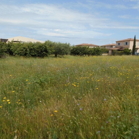  GL IMMOBILIER : Terrain | SAINT-GILLES (30800) | 0 m2 | 210 000 € 