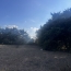  GL IMMOBILIER : Terrain | SAINT-GILLES (30800) | 812 m2 | 113 000 € 