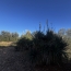  GL IMMOBILIER : Terrain | SAINT-GILLES (30800) | 746 m2 | 25 000 &euro; 