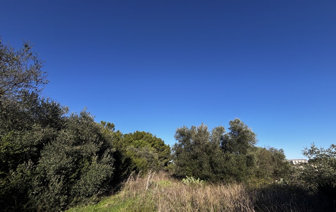 GL IMMOBILIER : Terrain | SAINT-GILLES (30800) | 746 m2 | 25 000 &euro; 