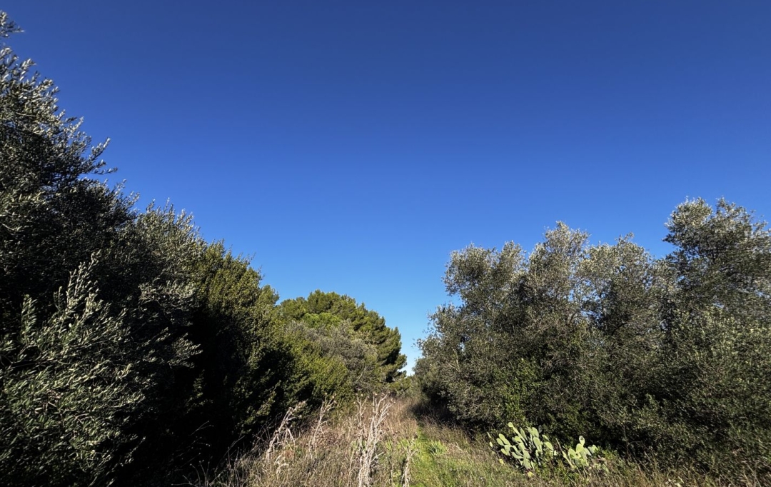 GL IMMOBILIER : Terrain | SAINT-GILLES (30800) | 746 m2 | 25 000 &euro; 