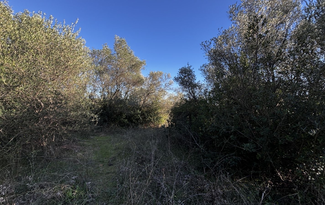 GL IMMOBILIER : Terrain | SAINT-GILLES (30800) | 746 m2 | 25 000 &euro; 
